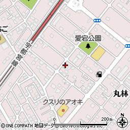 栃木県下都賀郡野木町丸林556-23周辺の地図