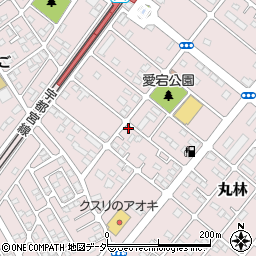栃木県下都賀郡野木町丸林556-1周辺の地図