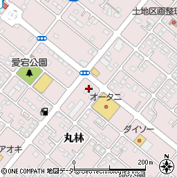 栃木県下都賀郡野木町丸林647-2周辺の地図