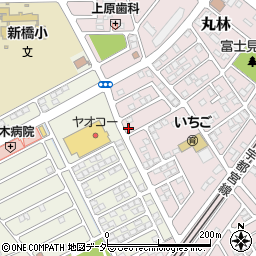 栃木県下都賀郡野木町丸林202-12周辺の地図
