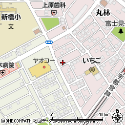 栃木県下都賀郡野木町丸林202-11周辺の地図