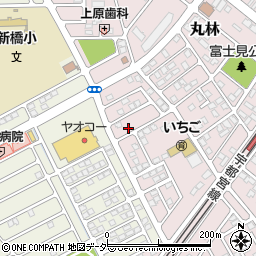 栃木県下都賀郡野木町丸林202周辺の地図