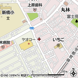 栃木県下都賀郡野木町丸林202-2周辺の地図