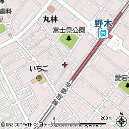 栃木県下都賀郡野木町丸林391-1周辺の地図