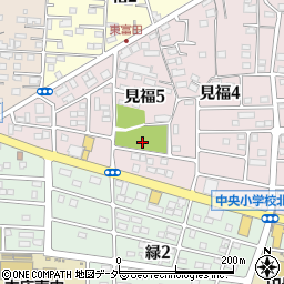 本庄市いちょう公園周辺の地図