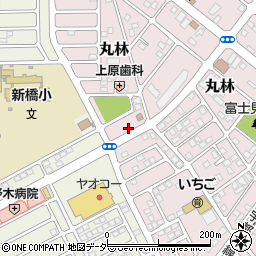 栃木県下都賀郡野木町丸林260-9周辺の地図