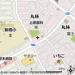 栃木県下都賀郡野木町丸林260周辺の地図