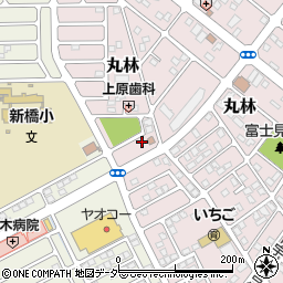 栃木県下都賀郡野木町丸林260-5周辺の地図