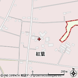 茨城県鉾田市紅葉910-10周辺の地図