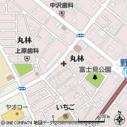 下野乃国米菓處木村野木店周辺の地図