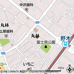 栃木県下都賀郡野木町丸林396-3周辺の地図