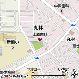 上原歯科周辺の地図