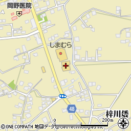 とをしや薬局梓川店周辺の地図
