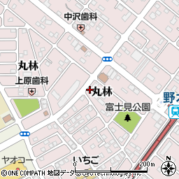 栃木県下都賀郡野木町丸林396-2周辺の地図