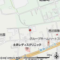 群馬県館林市苗木町2569周辺の地図