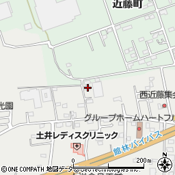 群馬県館林市苗木町2569-1周辺の地図