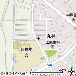 栃木県下都賀郡野木町丸林256-9周辺の地図