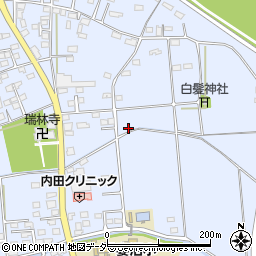 埼玉県熊谷市妻沼1200周辺の地図