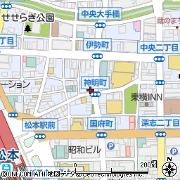 エステティックサロンライトウェーブ松本駅前店周辺の地図
