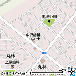栃木県下都賀郡野木町丸林383周辺の地図