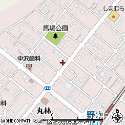 栃木県下都賀郡野木町丸林382-11周辺の地図