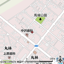 栃木県下都賀郡野木町丸林383-3周辺の地図