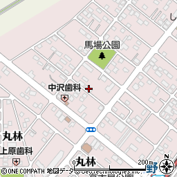 栃木県下都賀郡野木町丸林382-19周辺の地図