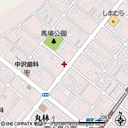栃木県下都賀郡野木町丸林382-6周辺の地図