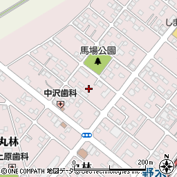 栃木県下都賀郡野木町丸林382-8周辺の地図