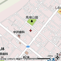 栃木県下都賀郡野木町丸林382-18周辺の地図