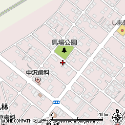 栃木県下都賀郡野木町丸林382-2周辺の地図