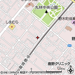 栃木県下都賀郡野木町丸林579-12周辺の地図