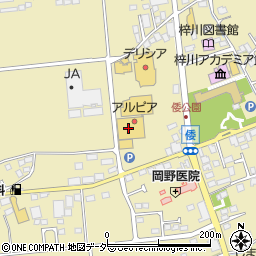 ココレーン松本店周辺の地図