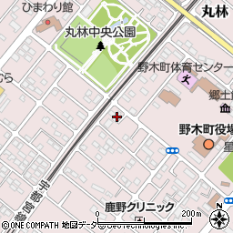 栃木県下都賀郡野木町丸林569-3周辺の地図