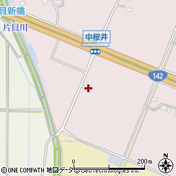 長野県佐久市桜井207周辺の地図