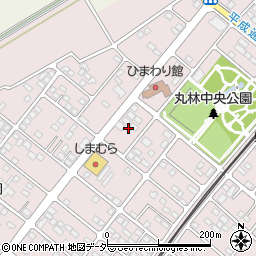 栃木県下都賀郡野木町丸林581周辺の地図