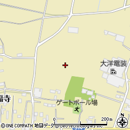 群馬県千代田町（邑楽郡）新福寺周辺の地図
