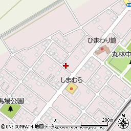 栃木県下都賀郡野木町丸林583-18周辺の地図