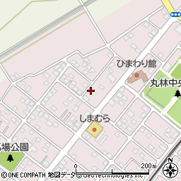 栃木県下都賀郡野木町丸林583-17周辺の地図