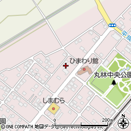 栃木県下都賀郡野木町丸林583-4周辺の地図
