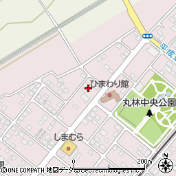 栃木県下都賀郡野木町丸林583-5周辺の地図