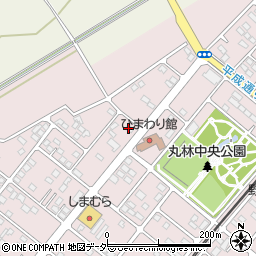 栃木県下都賀郡野木町丸林583-9周辺の地図