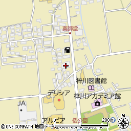 サクラケア松本店周辺の地図