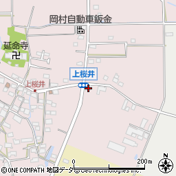 長野県佐久市桜井9周辺の地図