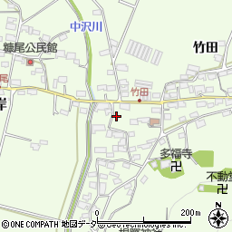 長野県佐久市根岸竹田328周辺の地図