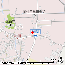 長野県佐久市桜井981周辺の地図