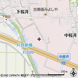 長野県佐久市桜井330周辺の地図