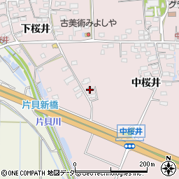 長野県佐久市桜井325周辺の地図