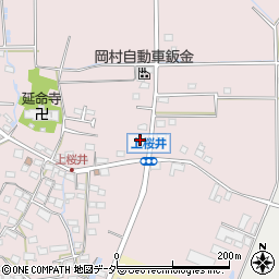 長野県佐久市桜井982周辺の地図