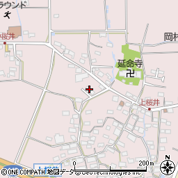 長野県佐久市桜井163周辺の地図